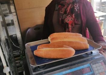 حملات مكثفة للمرور على المخابر الإفرنجية .. برأس غارب 21 - جريدة المساء