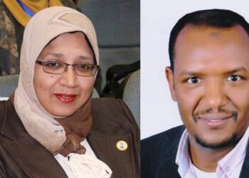 "قرشى سعدى" وكيلًا لكلية الفنون الجميلة و "شيماء عبدالستار" للآثار بجامعة الأقصر 20 - جريدة المساء