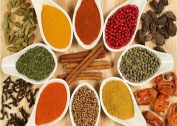 تعرف على أهم أنواع واستخدامات التوابل 19 - جريدة المساء