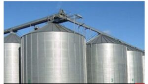 الذهب الأصفر.. يلمع فى شون وصوامع المحافظات 39 - جريدة المساء