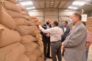 الذهب الأصفر.. يلمع فى شون وصوامع المحافظات 27 - جريدة المساء