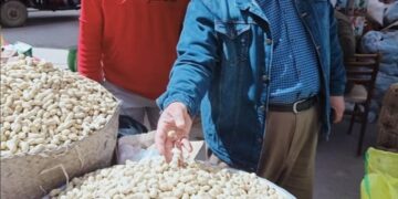 حملات مكبرة على الأسواق بكفر الشيخ.. لضبط الأسعار 1 - جريدة المساء