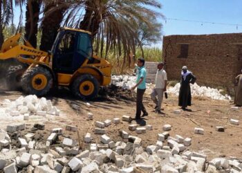 إزالة 14 حظيرة بمساحة 12 ألف م2 بقرى كلح الكرنك والصعايدة بحرى بإدفو 22 - جريدة المساء