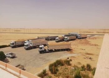 توريد 47 ألف طن قمح لصوامع الوادى الجديد 34 - جريدة المساء