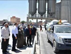 الذهب الأصفر.. يلمع فى شون وصوامع المحافظات 51 - جريدة المساء