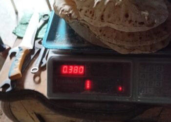 ضبط مخالفات متنوعة بالمخابز والمحلات والأسواق بمراكز أجا وشربين ودكرنس والسنبلاوين .. بالدقهلية 32 - جريدة المساء