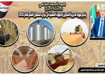 الشون الحكومية والصوامع تستقبل 6400 طن قمح حتى الآن في المنيا 26 - جريدة المساء
