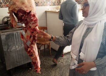 تنظيم حملة بيطرية للتفتيش على محلات الجزارة البلدية وثلاجات اللحوم باسوان
