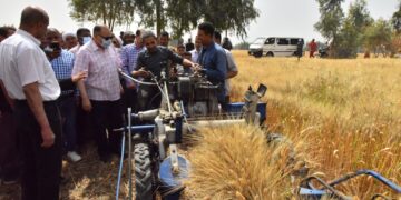 توريد 227 طن قمح بـ 30 شونة ومركز تجميع بأسيوط