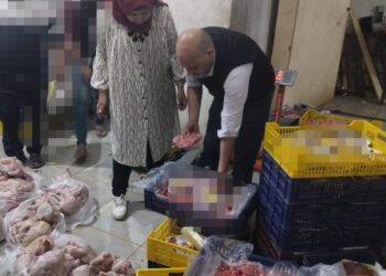 ضبط 3 أطنان سردين و دواجن غير صالحة للاستخدام الآدمى .. بالباجور وسرس الليان 23 - جريدة المساء