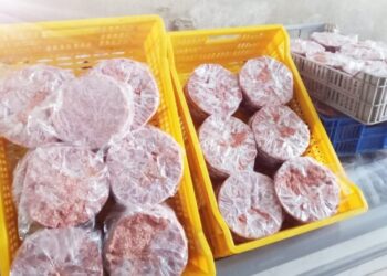 ضبط 6 أطنان أسماك ولحوم ودواجن غير صالحة وسلع غذائية