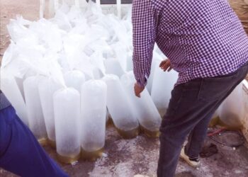 فى كفرالشيخ ضبط 16 ألف وحدة زريعة بلطي محملة على سيارة بالبرلس