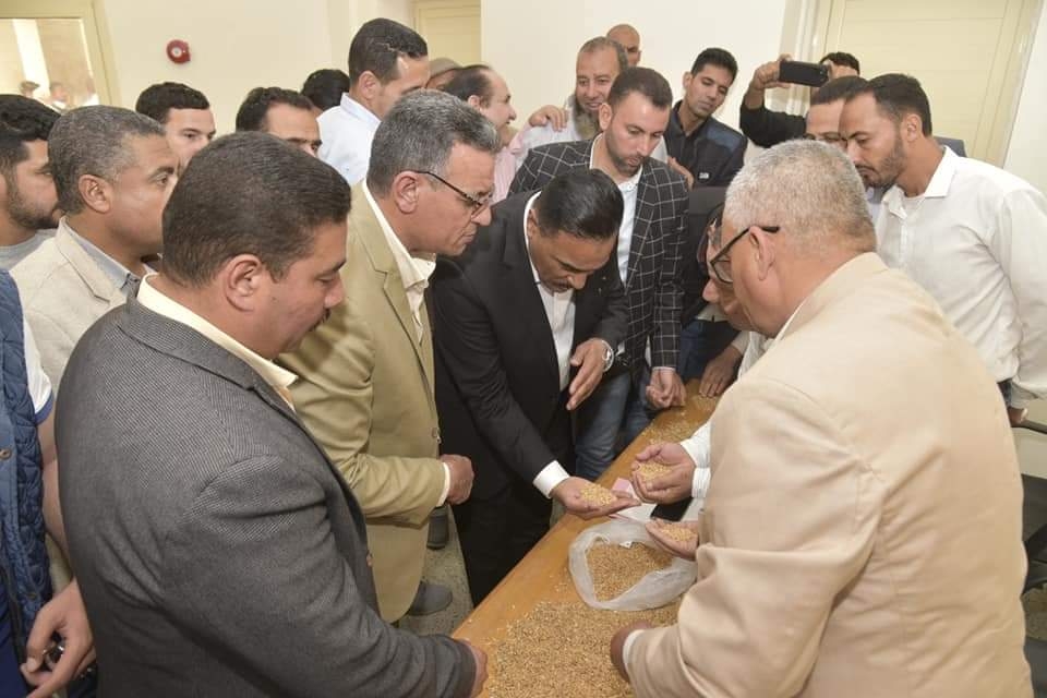 صوامع "الشمامه" بالحمام تستقبل 15 ألف طن قمح منذ بدء موسم توريد القمح بمطروح 15 - جريدة المساء