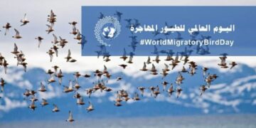تحت شعار أطفئوا الأنوار ليلًا .. العالم يحتفل باليوم العالمي لهجرة الطيور 1 - جريدة المساء