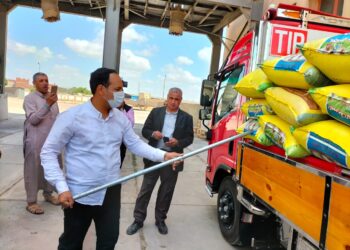 توريد 2267 طن قمح لصوامع وشون الإسكندرية 16 - جريدة المساء