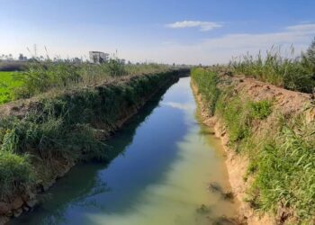 الانتهاء من تبطين وتأهيل 8 ترع بنسبة 100%بالاسكندريه 19 - جريدة المساء