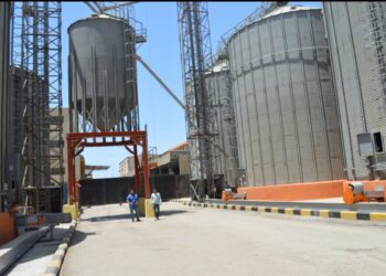 مطحن وشون المنطقة الصناعية جنوب بورسعيد يستوعب ١٦ الف طن قمح 23 - جريدة المساء