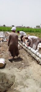 حملة نظافة وإزالة فورية للتعديات على الأراضى الزراعية بقرية "القارة" بأبوتشت 47 - جريدة المساء