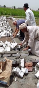 حملة نظافة وإزالة فورية للتعديات على الأراضى الزراعية بقرية "القارة" بأبوتشت 45 - جريدة المساء