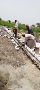 حملة نظافة وإزالة فورية للتعديات على الأراضى الزراعية بقرية "القارة" بأبوتشت 43 - جريدة المساء