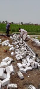 حملة نظافة وإزالة فورية للتعديات على الأراضى الزراعية بقرية "القارة" بأبوتشت 39 - جريدة المساء