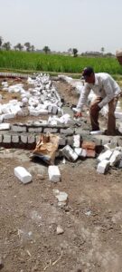 حملة نظافة وإزالة فورية للتعديات على الأراضى الزراعية بقرية "القارة" بأبوتشت 37 - جريدة المساء