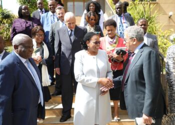 عمرو موسى: الإتحاد الأفريقى يقيم جاهزية الدولة الكينية للانتخابات العامة 32 - جريدة المساء