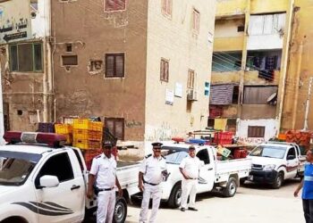 " مصادرة 238 مضبوطات مرافق متنوعة بسوق مدينة ناصر بسوهاج 27 - جريدة المساء