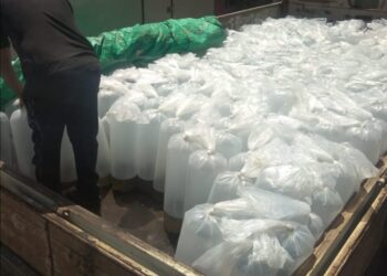 ضبط 100 ألف وحدة زريعة بلطى .. بكفر الشيخ 18 - جريدة المساء