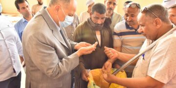 انتظام عمليات توريد القمح واستلام 131 ألف طن بصوامع وشون أسيوط 1 - جريدة المساء