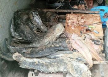 ضبط 165 كجم من الأسماك المملحة غير صالحة للإستهلاك الآدمى باسوان 27 - جريدة المساء