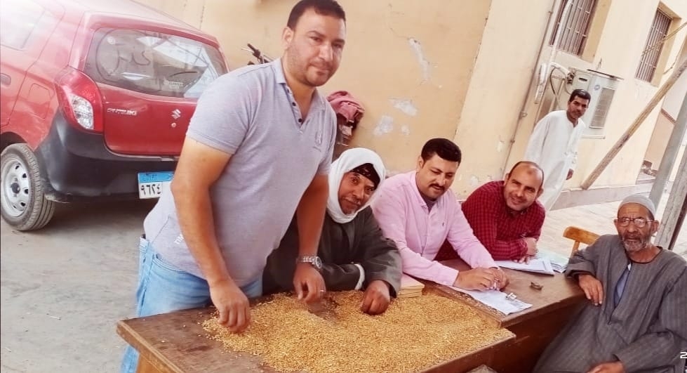 إجمالى ماتم توريد من القمح بمحافظه كفرالشيخ 136518 طن و834 كجم
