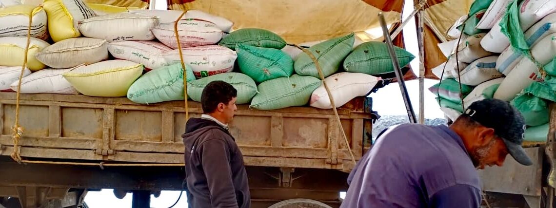 توريد 188149 طن و 68 كجم من القمح في كفر الشيخ 19 - جريدة المساء