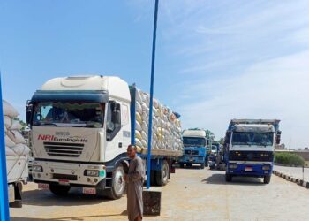 استلام أكثر من 154 ألف طناً قمح بالصوامع والشون "بنسبة 67.2% "من المستهدف من توريده ببني سويف 23 - جريدة المساء