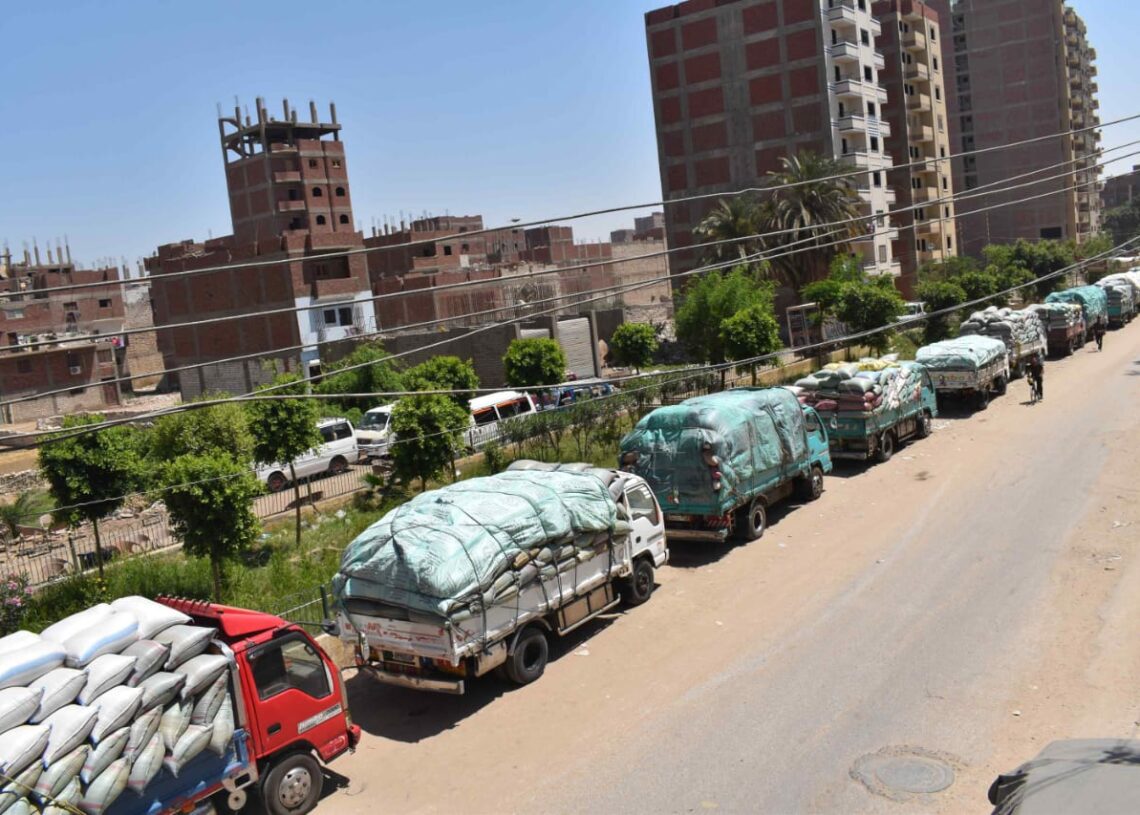تحرير 1319 محضر تموين متنوع خلال 15 يوم بسوهاج 15 - جريدة المساء