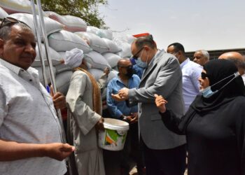توريد 18 طن قمح لـ 30 شونة وصومعة بأسيوط 29 - جريدة المساء