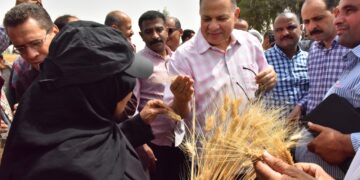 توريد 3781 طن قمح بـ 30 شونة ومركز تجميع واستمرار التوريد خلال إجازة العيد بأسيوط 1 - جريدة المساء توريد 3781 طن قمح بـ 30 شونة ومركز تجميع واستمرار التوريد خلال إجازة العيد بأسيوط