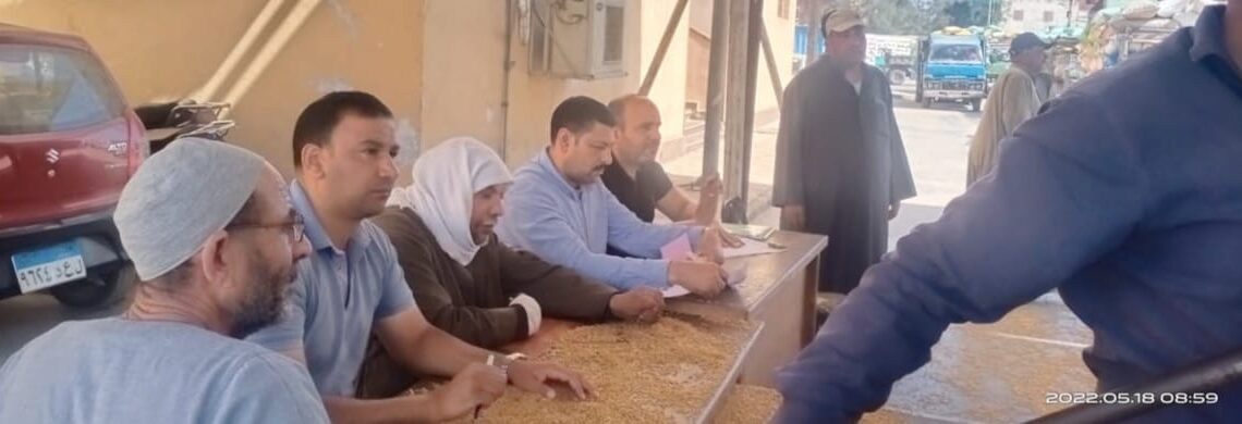 توريد63061 طن و 519 كجم من القمح في كفر الشيخ 18 - جريدة المساء