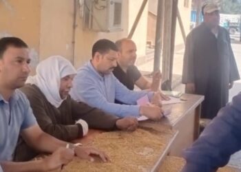 توريد63061 طن و 519 كجم من القمح في كفر الشيخ 24 - جريدة المساء