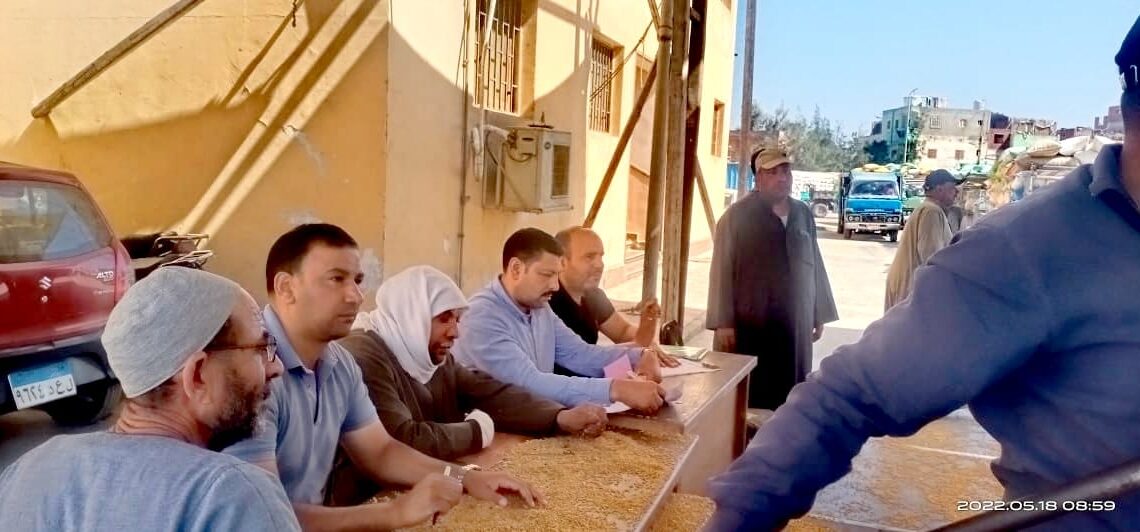 توريد 154134طن و 311 كجم من الأقماح المحليه بكفرالشيخ حتى الآن 16 - جريدة المساء