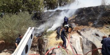محافظ أسوان : السيطرة على حريق محدود بإحدى الزراعات الخاصة خارج نطاق الجزر النيلية دون وجود أى إصابات أو خسائر فى الأرواح 1 - جريدة المساء