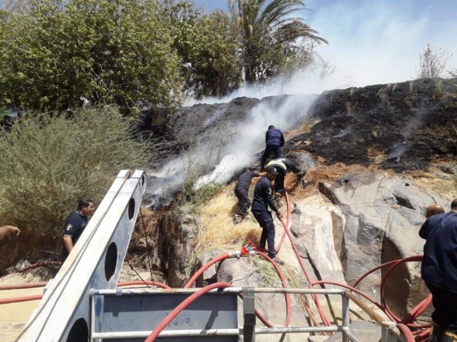 محافظ أسوان : السيطرة على حريق محدود بإحدى الزراعات الخاصة خارج نطاق الجزر النيلية دون وجود أى إصابات أو خسائر فى الأرواح 19 - جريدة المساء