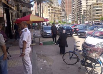 محافظ الإسكندرية تحرير 146 محضر مخالفة بيئية خلال 6 حملات