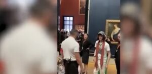 شاب يهاجم الموناليزا بدافع الحفاظ علي المناخ 31 - جريدة المساء