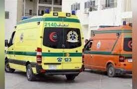 مصرع شخص وإصابة 4 في حادث على الطريق الدولي الساحلي بكفر الشيخ 1 - جريدة المساء