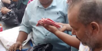 صحة الشرقية: إعدام أكثر من 2.5 طن أغذية فاسدة وغلق 3 منشآت مخالفة 10 - جريدة المساء صحة الشرقية: إعدام أكثر من 2.5 طن أغذية فاسدة وغلق 3 منشآت مخالفة 9 - جريدة المساء