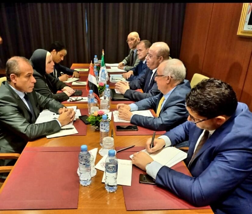 نيفين جامع:مباحثات لنقل الخبرات المصرية في مجالات انشاء وترفيق وتشغيل المجمعات الصناعية  للجزائر . 19 - جريدة المساء