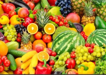 الزراعة: صادرات مصر الزراعية ثلاثة ملايين ونصف المليون طن من أول يناير حتى الآن و الموالح فى المقدمه والبطاطس الوصيف 24 - جريدة المساء