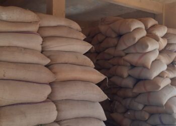 توريد 231489 طن و 360 كجم من القمح بكفر الشيخ 29 - جريدة المساء