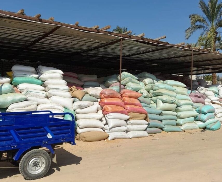 توريد 103 ألف طن أقماح حتى اليوم بسوهاج 17 - جريدة المساء